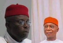 NWAEZEIGWE ON ANIOMA & NED NWOKO: WRITING POISON AS VIEWPOINT